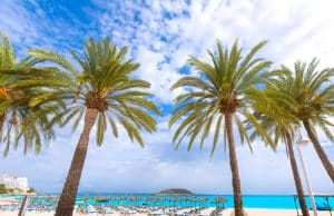 Magaluf, Calviá: qué hacer y qué visitar en esta zona de Mallorca magaluf en mallorca